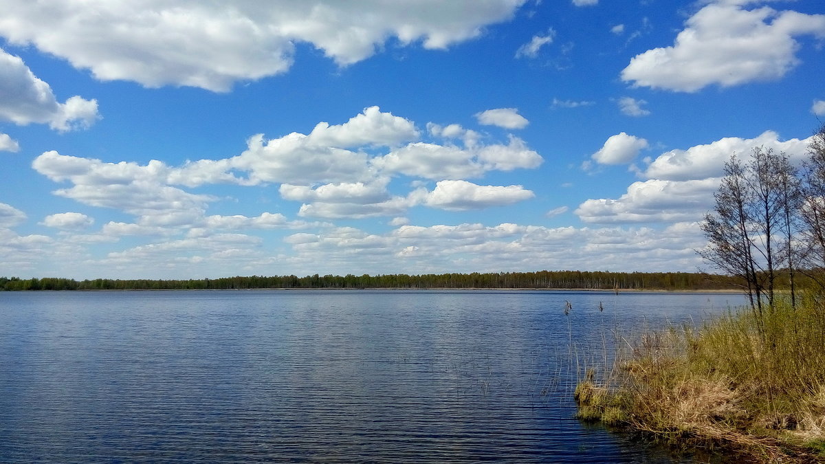 озеро Шейно - Андрей Михайлов