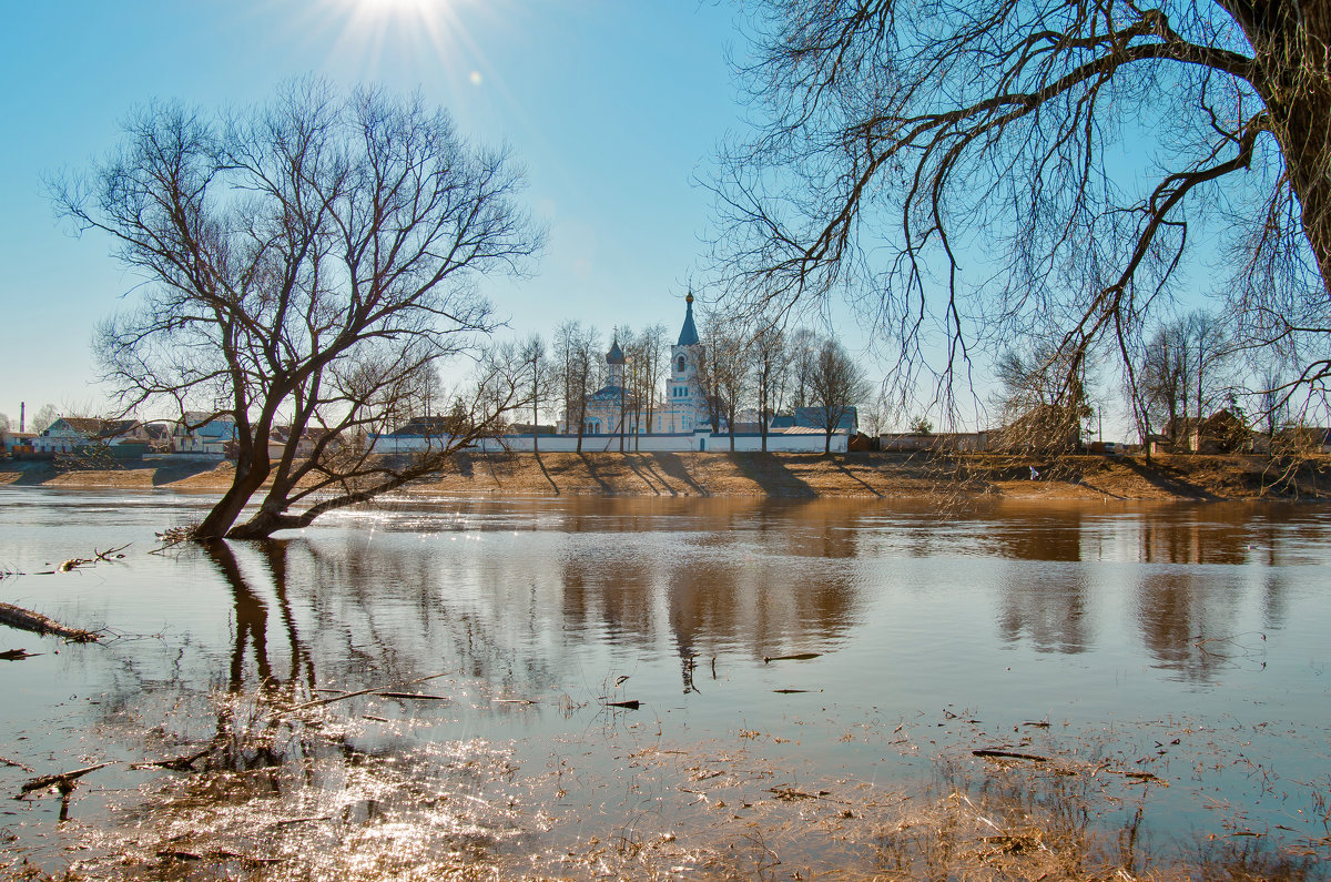 Сверкающее утро на берегу Днепра. (апрель) - Alyes Kukharev