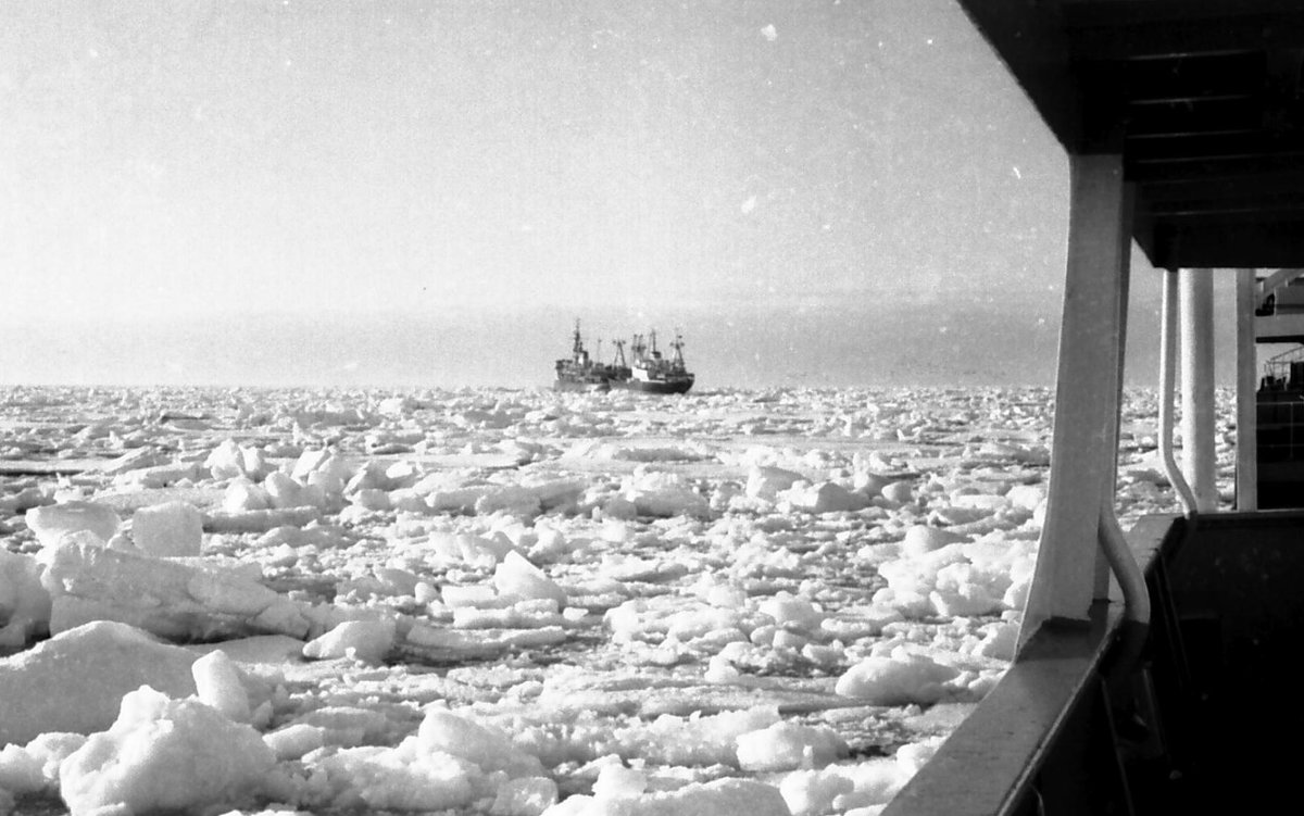 1971 -й Арктика.Море Лаптевых - Иволий Щёголев