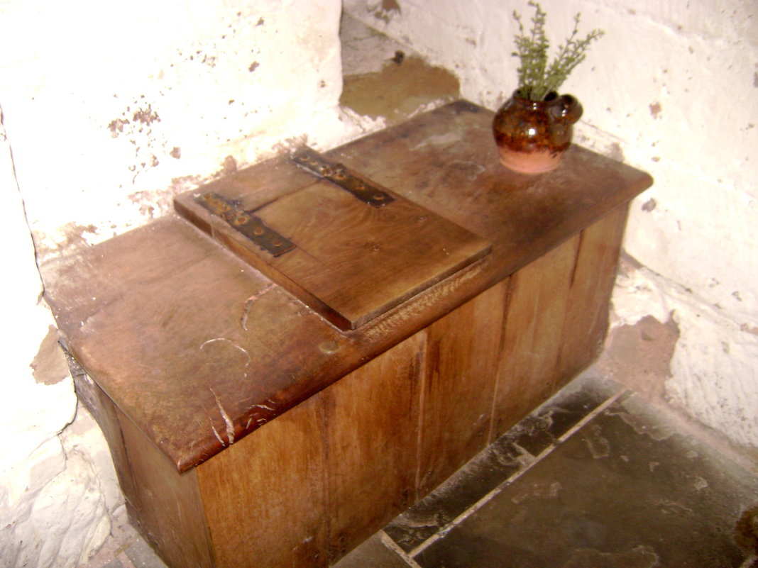 Средневековый туалет - Марина Домосилецкая