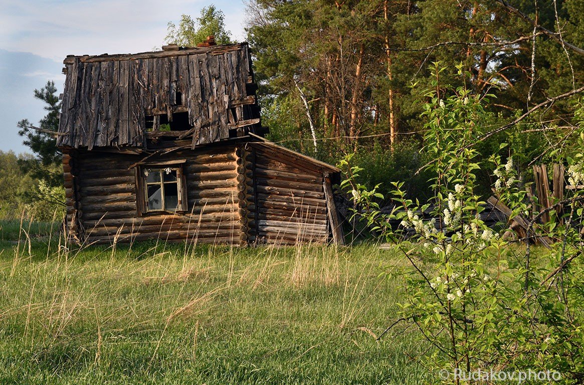Старый домик в Лучках - Сергей 