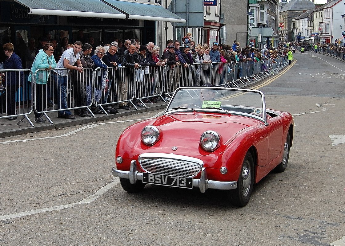 Austin-Healey Sprite - Natalia Harries