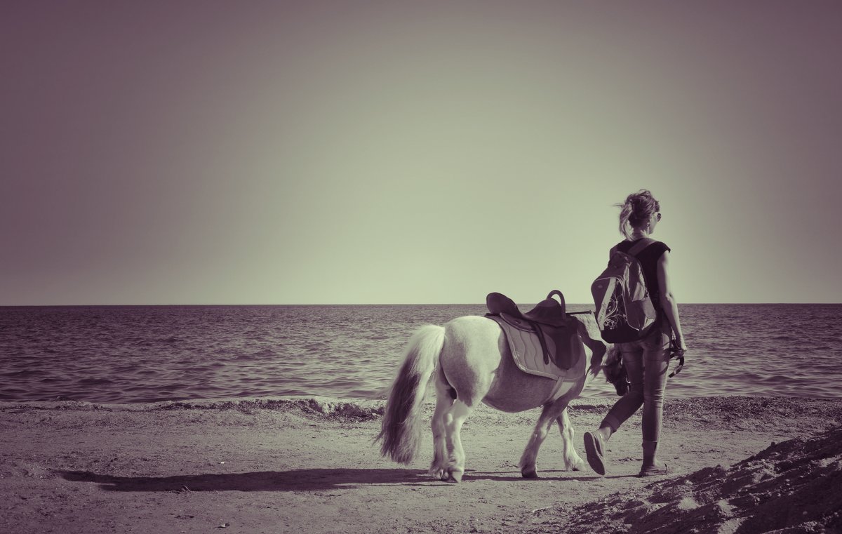 Девушка с пони - Александр Довгий