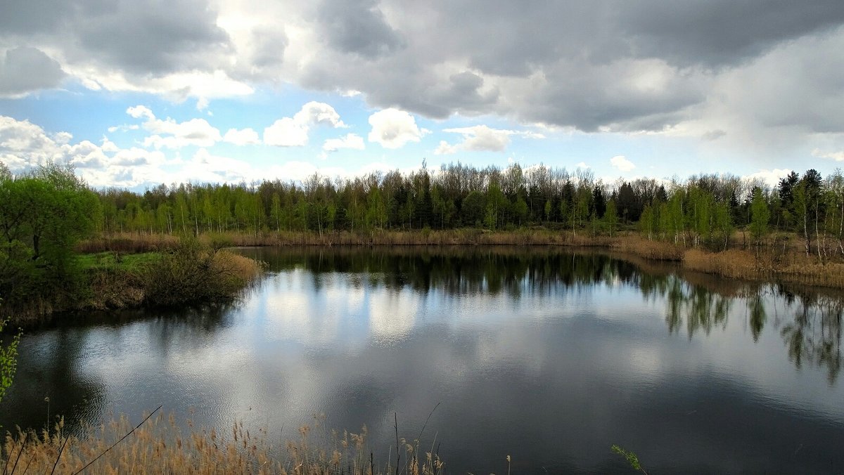 Озёра Смоленщины - Милешкин Владимир Алексеевич 