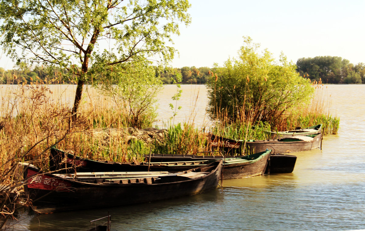 Vilkovo - Dmitriy Photo