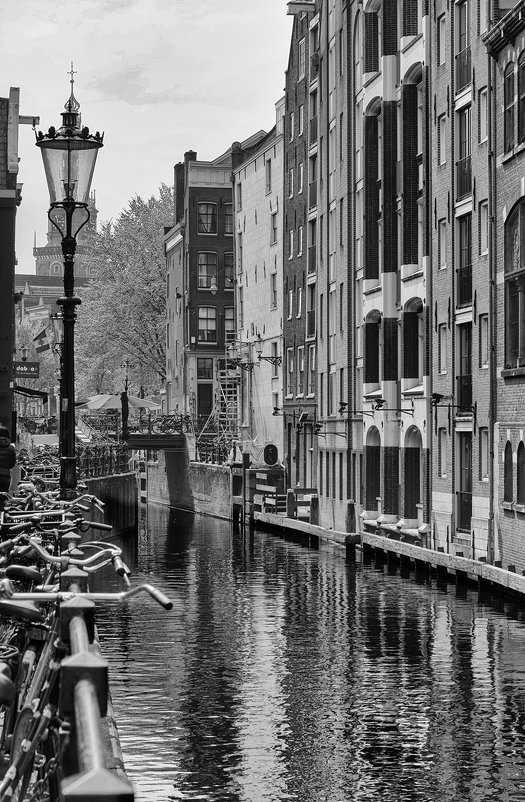 Амстердам - ник. петрович земцов
