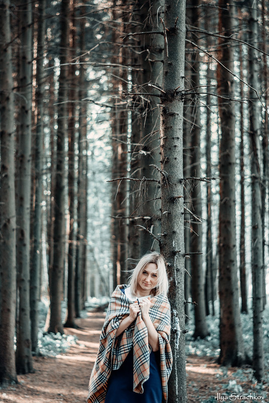 В сосновом лесу - Илья Страчков