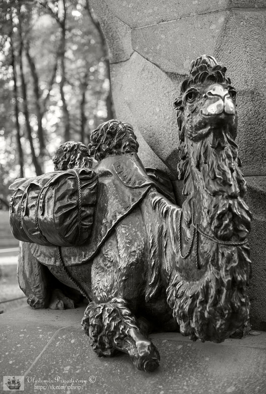Фрагмент памятника Пржевальскому в Александровском саду - Владимир Питерский