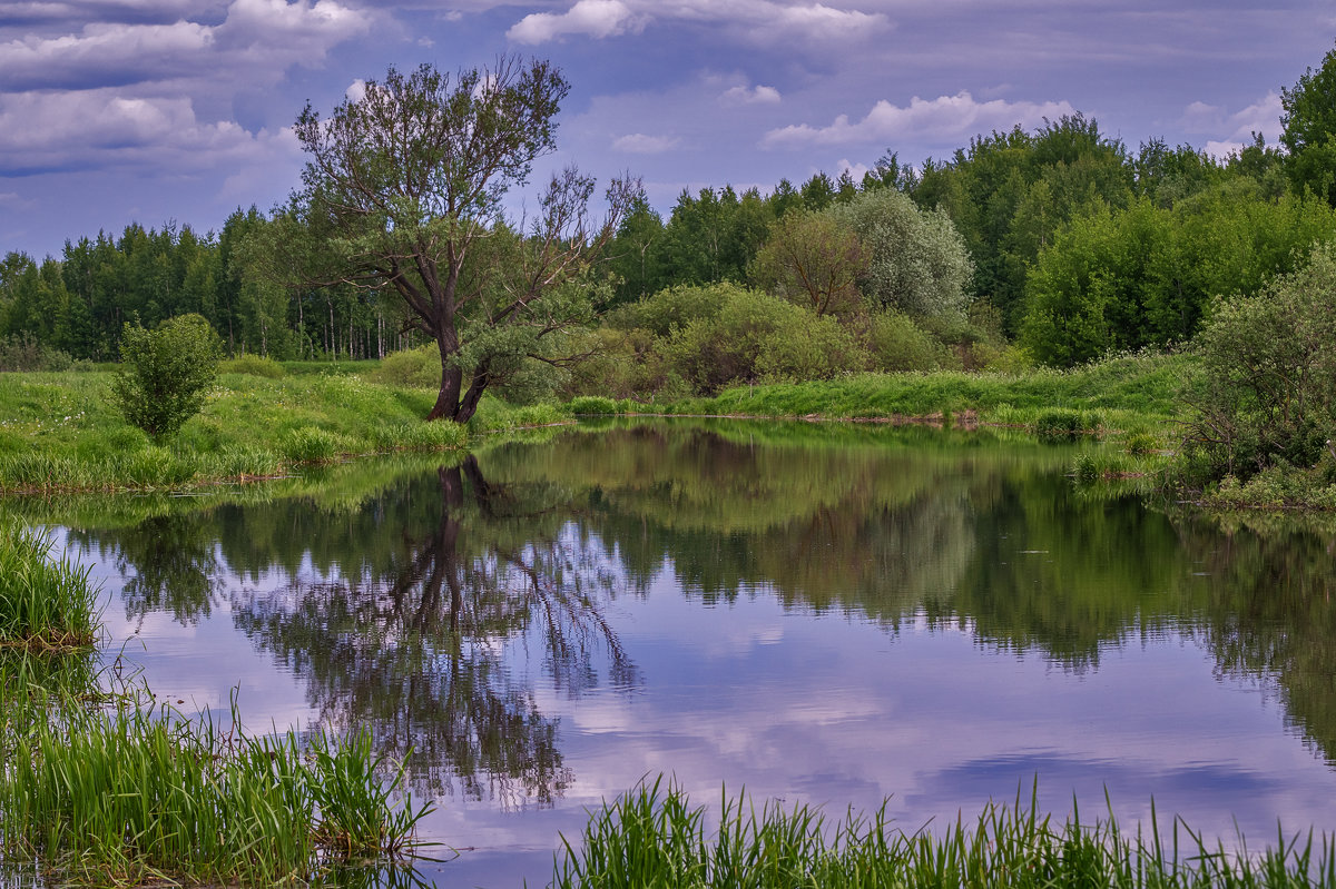 Озеро 2 - Андрей Дворников