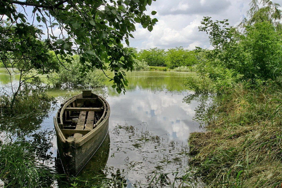 Пришла большая вода... - Николай Саржанов