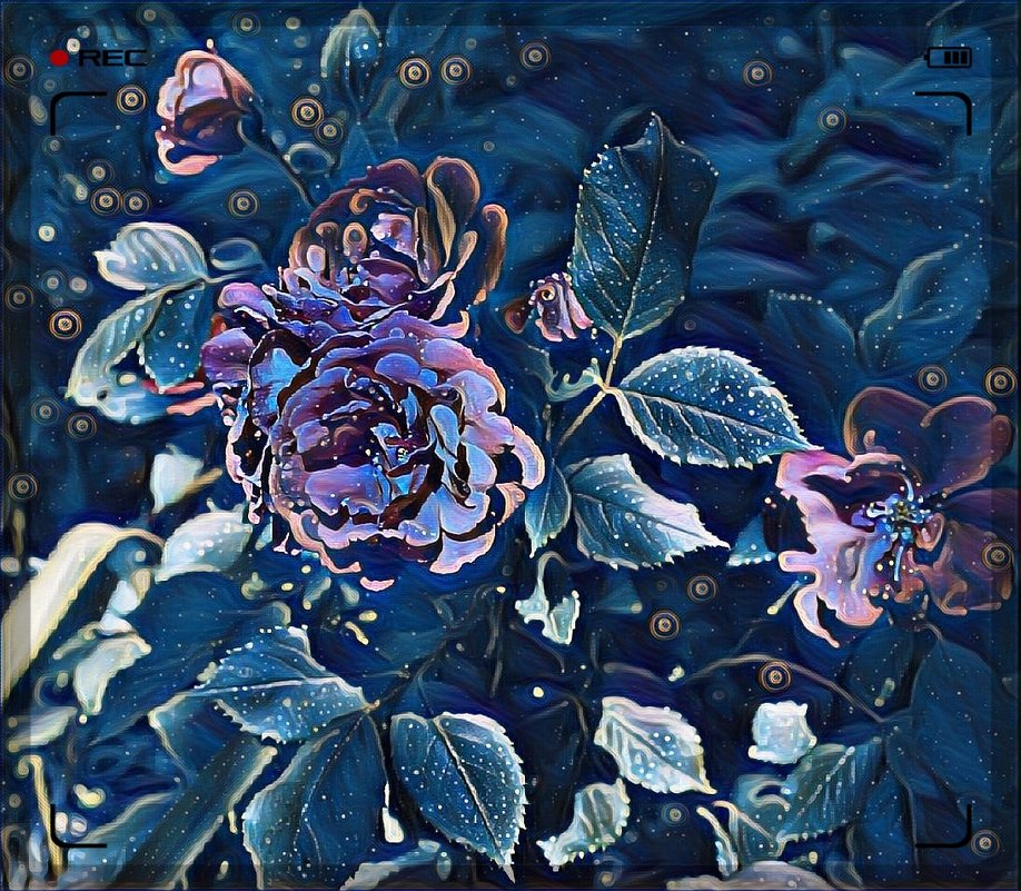 картина  "Розовый куст под лунным освещением" - Владимир Бровко