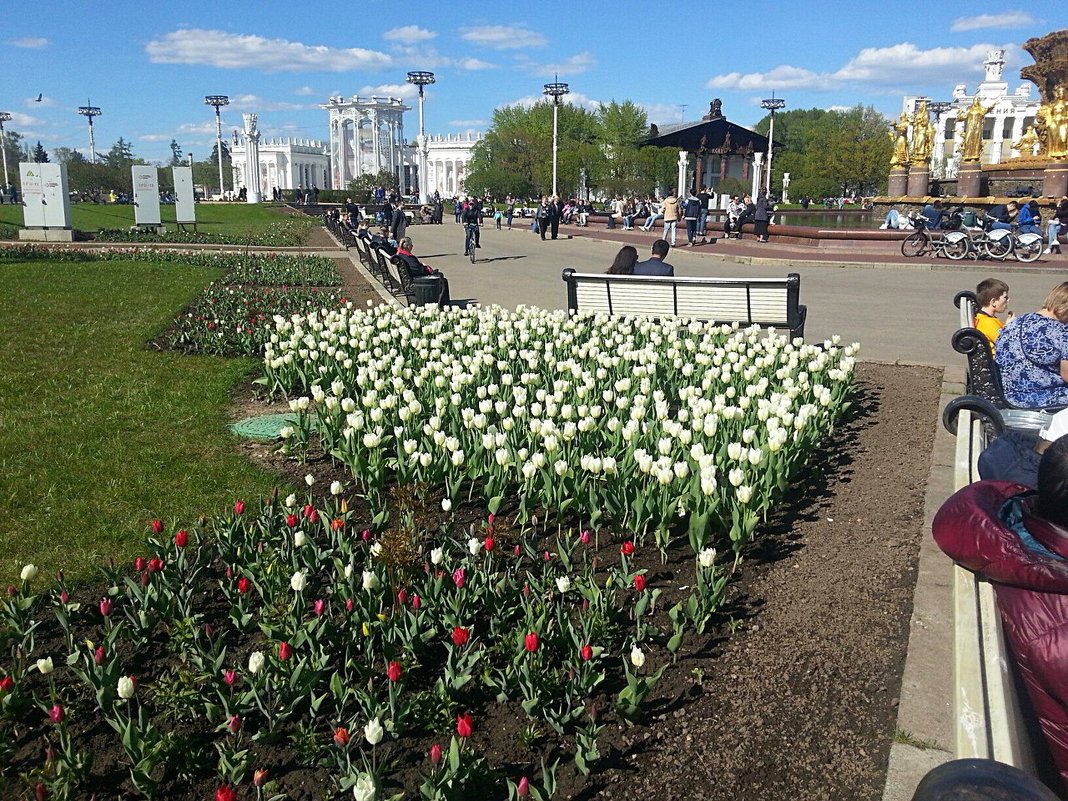 Прогулки по Москве. - Наталья Владимировна