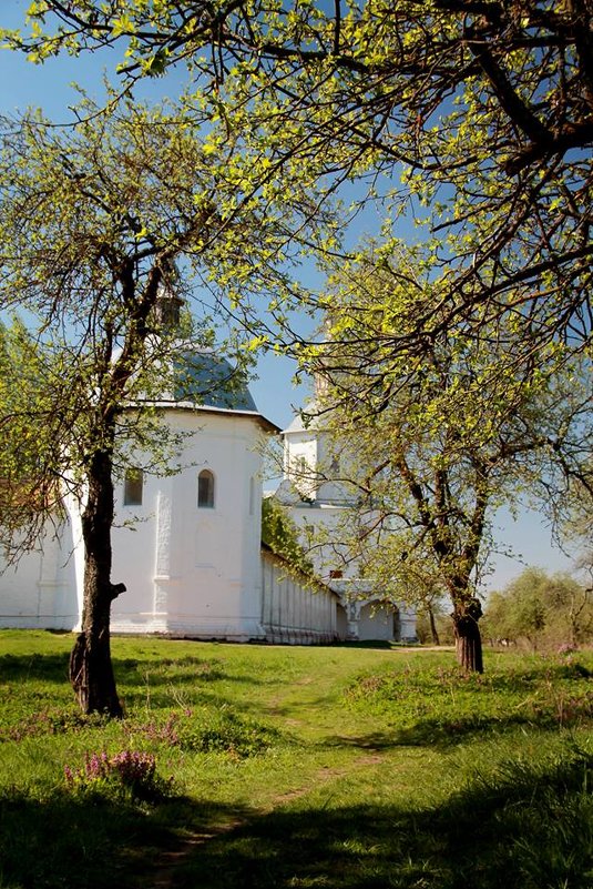 Свенский монастырь - Татьяна Шумова