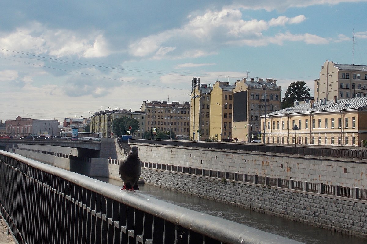 Обводный канал в Санкт-Петербурге - Фотогруппа Весна