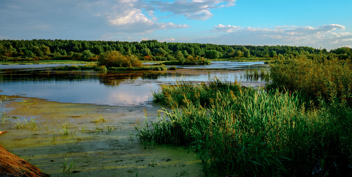 На реке - Марк Э