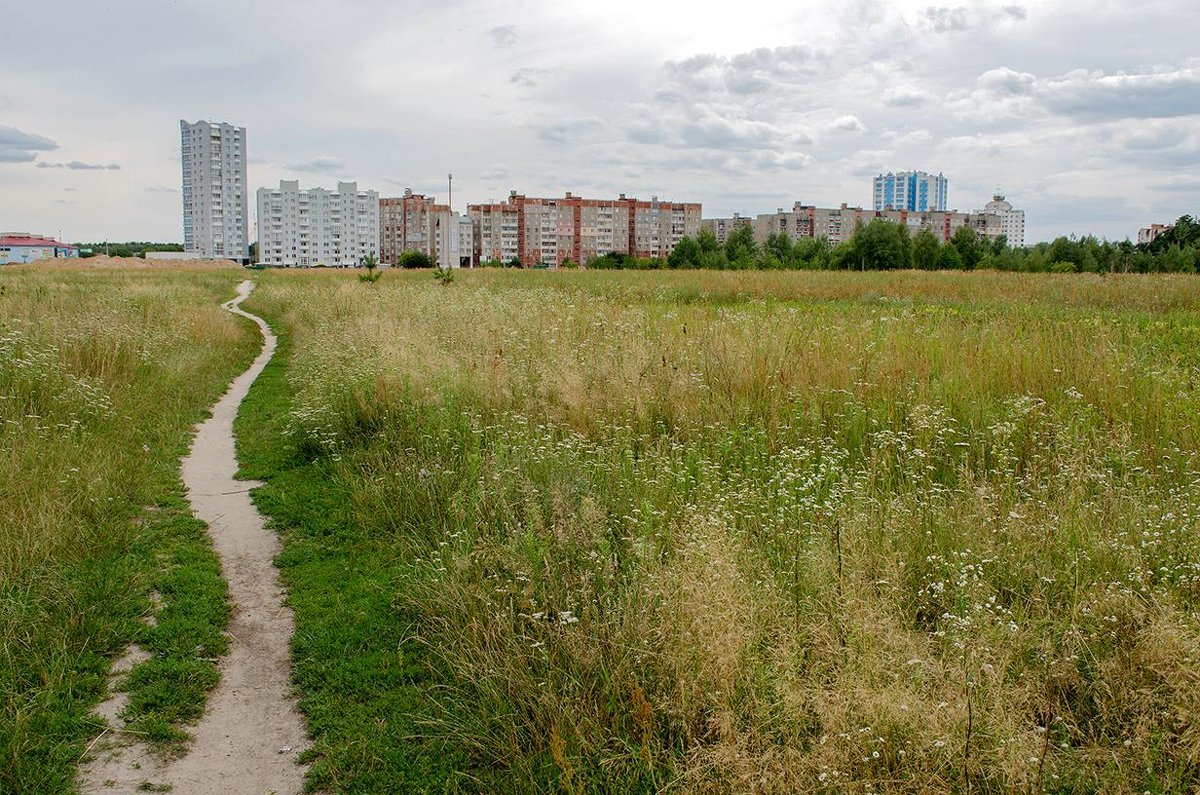 Пейзаж из городской окраины - Сергей Тарабара