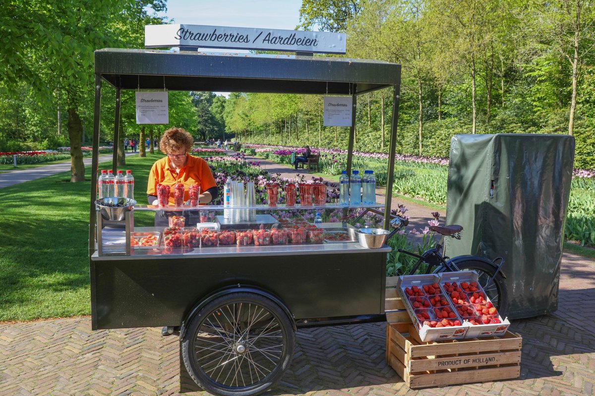 Парк цветов Кёкенкоф, Нидерланды - Владимир Леликов