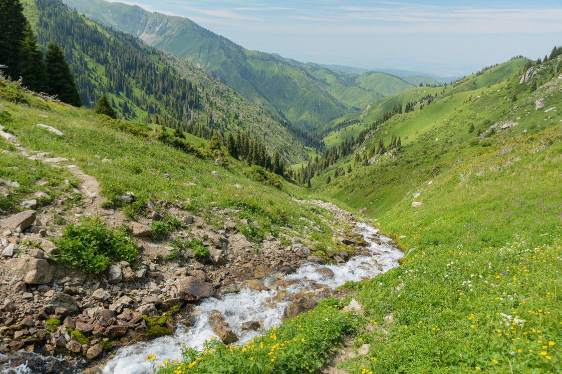 Ущелье горельник