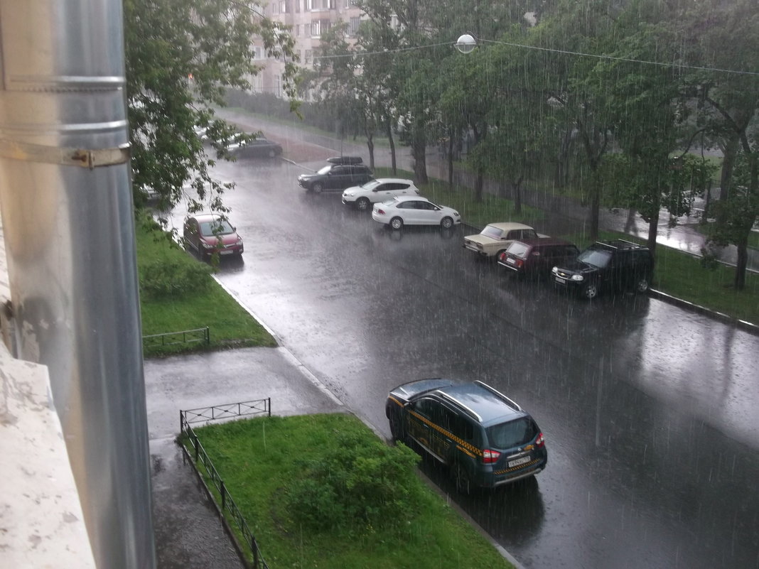 Дождливый день - Svetlana Lyaxovich