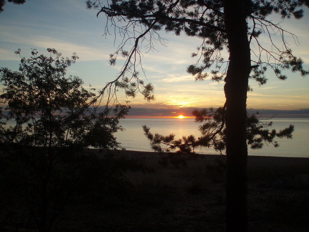 Vakaras prie Baltijos /  Saulkrasti (Latvia). Evening on the Baltic Sea. - silvestras gaiziunas gaiziunas