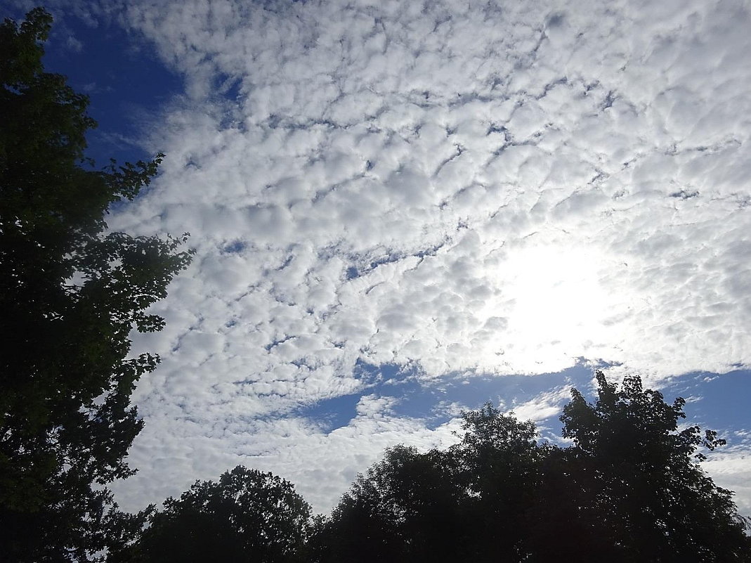 В небе, будто из зефира, облаков пушистый слой выложен красиво - Маргарита Батырева