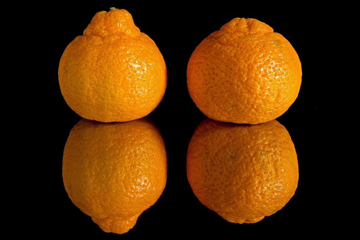 апельсин - snd63 Сергей