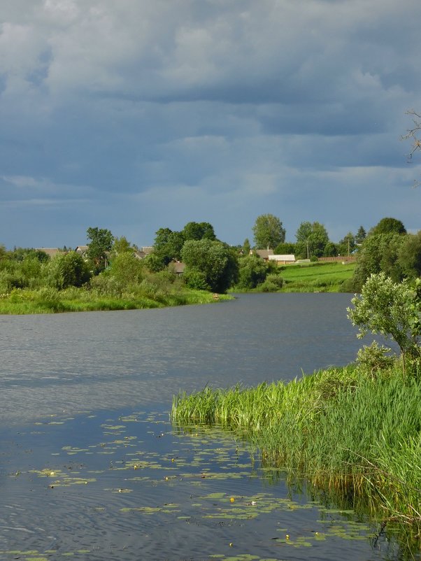 Река Нища - Наталья Полочанка