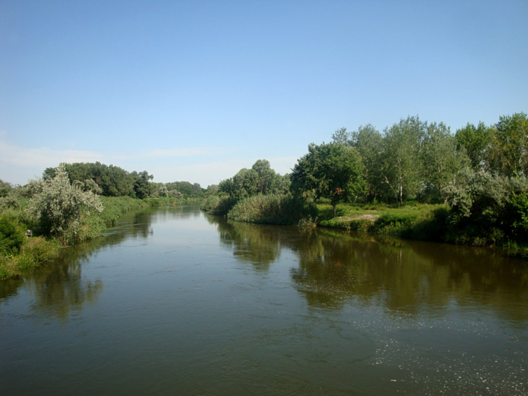 Река - Надежда Фёдоровна 