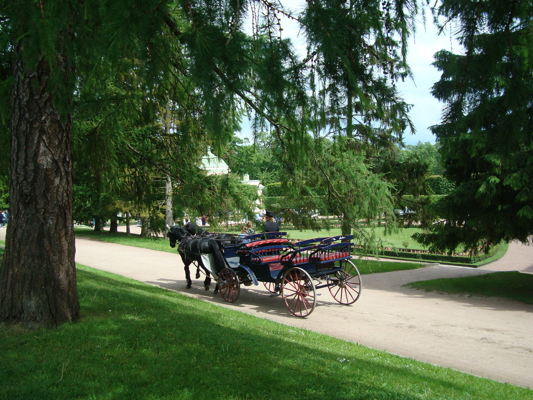 В Екатерининском парке - марина ковшова 