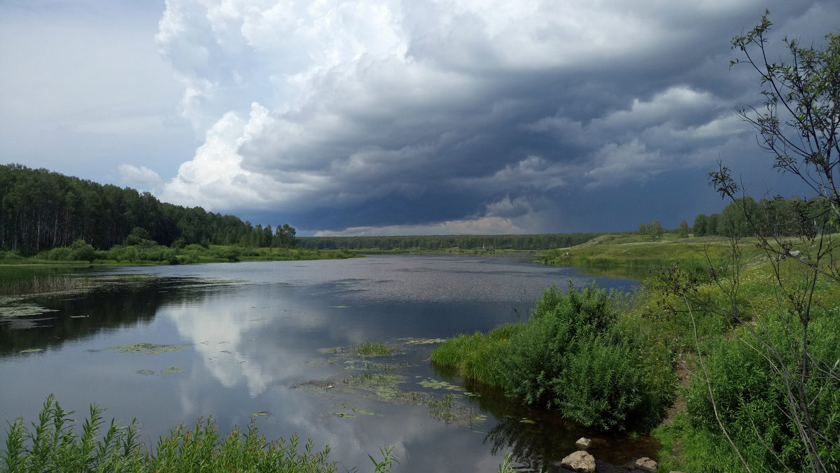 Вассинский пруд перед дождём - Евгений Золотаев