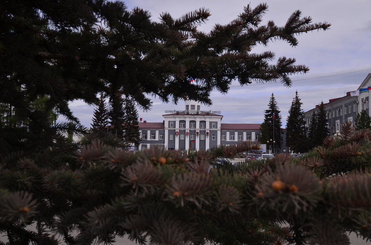 Мой Первоуральск. - Лариса Красноперова