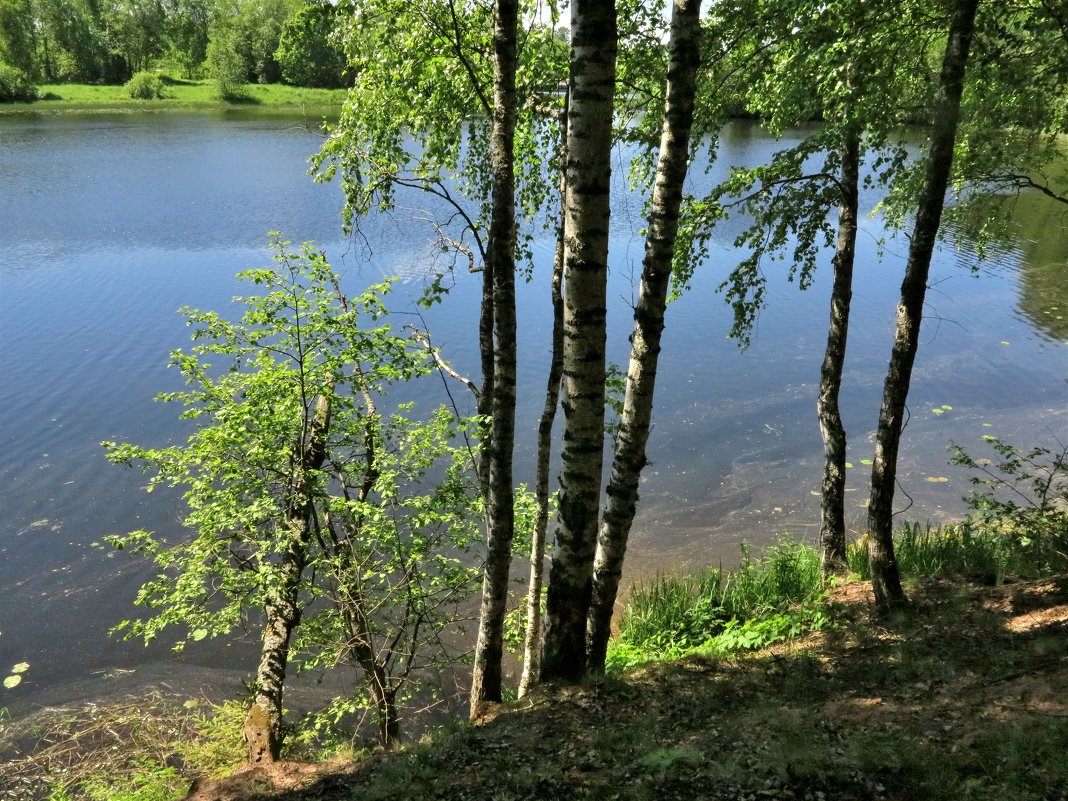 На берегу - Наталья 