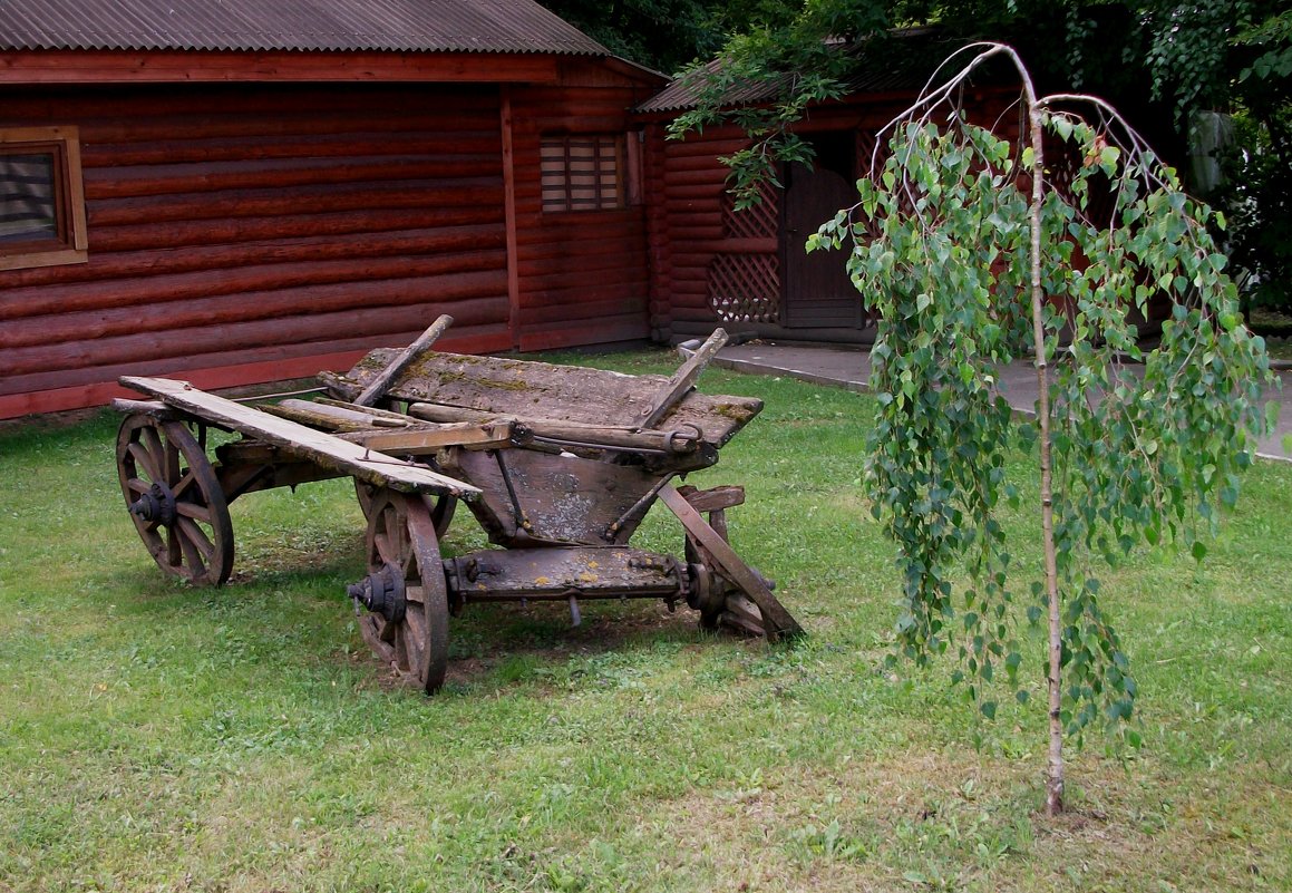 А-ля натюрель - Галина Бобкина