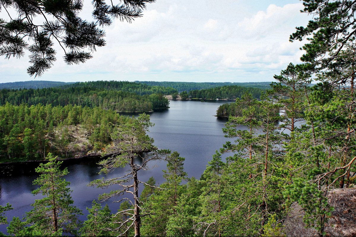 «Маленькая Лапландия» в Южной Финляндии. Озеро Реповеси - Елена Павлова (Смолова)