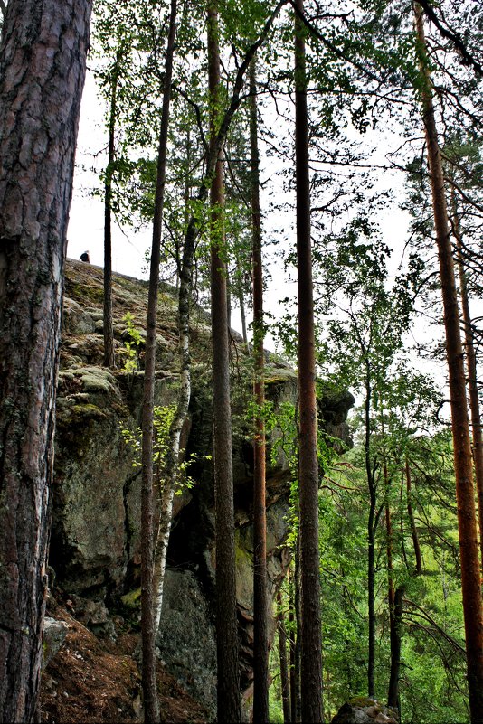 Вид с деревянной лестницы Катаявуори - Елена Павлова (Смолова)
