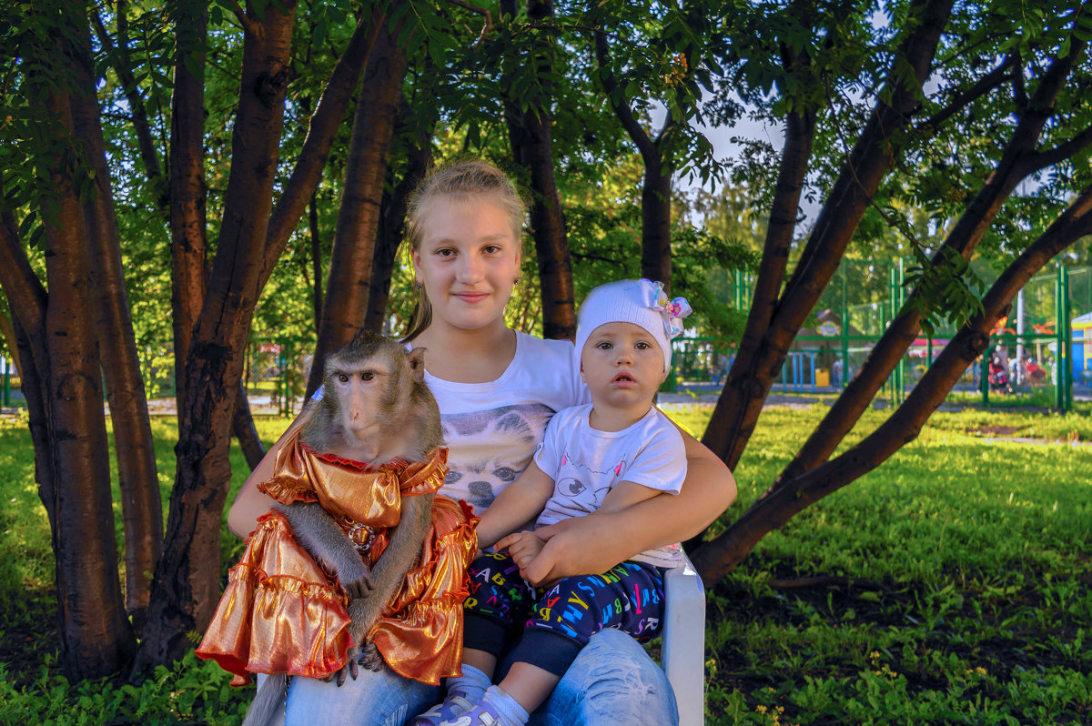 Познакомились с обезьянкой - Владимир Деньгуб