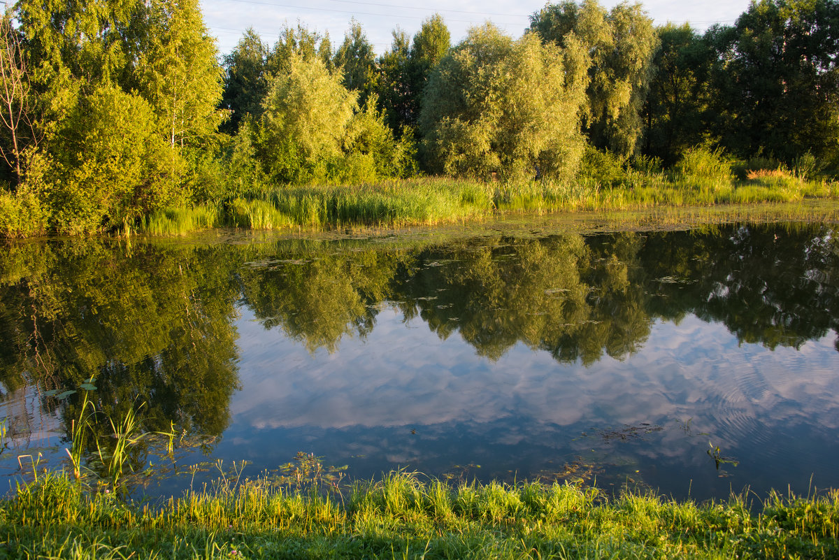 Городской парк. - Владимир Безбородов