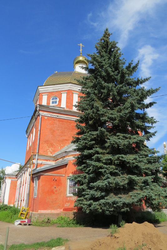 Русская церковь в Уфе и ель - Вера Щукина