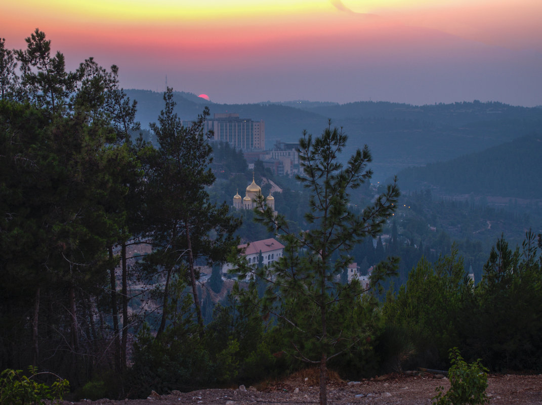 Закат над иерусалимским лесом - Alla Shapochnik