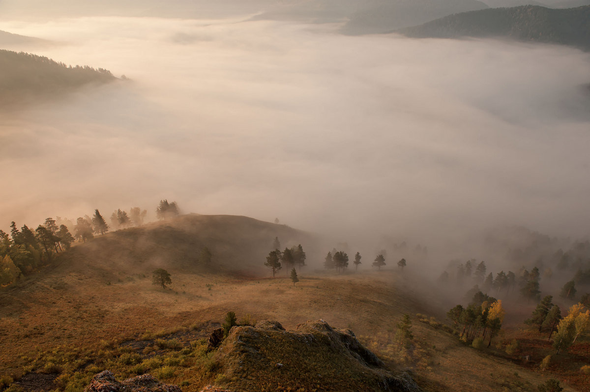 Туман на рассвете - Сергей Герасимов