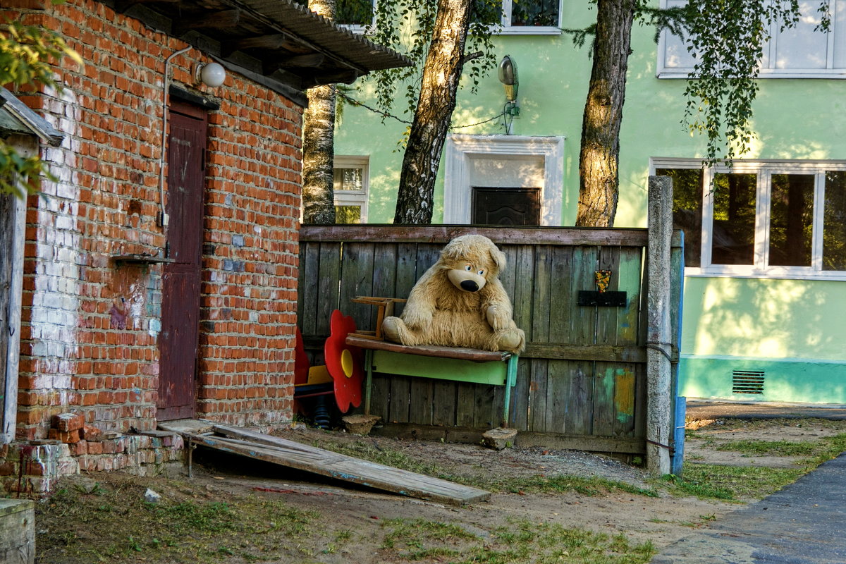 Забытый и грустный. - Анатолий. Chesnavik.