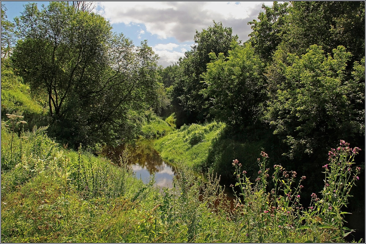 *** - Роланд Дубровский