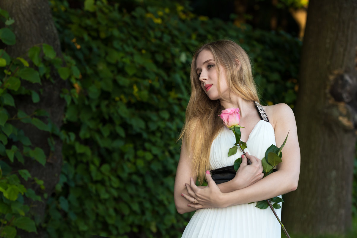 Дама с розой - Сергей Добрыднев