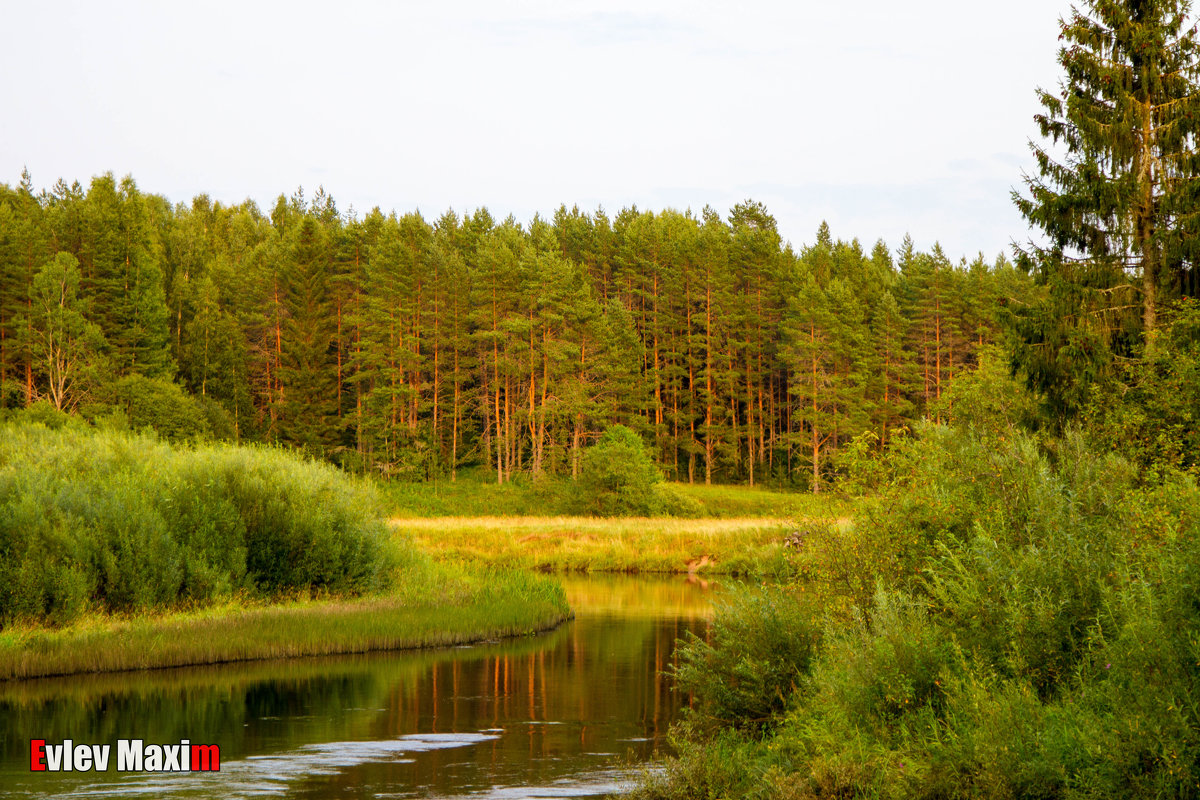 *** - Макс Евлев