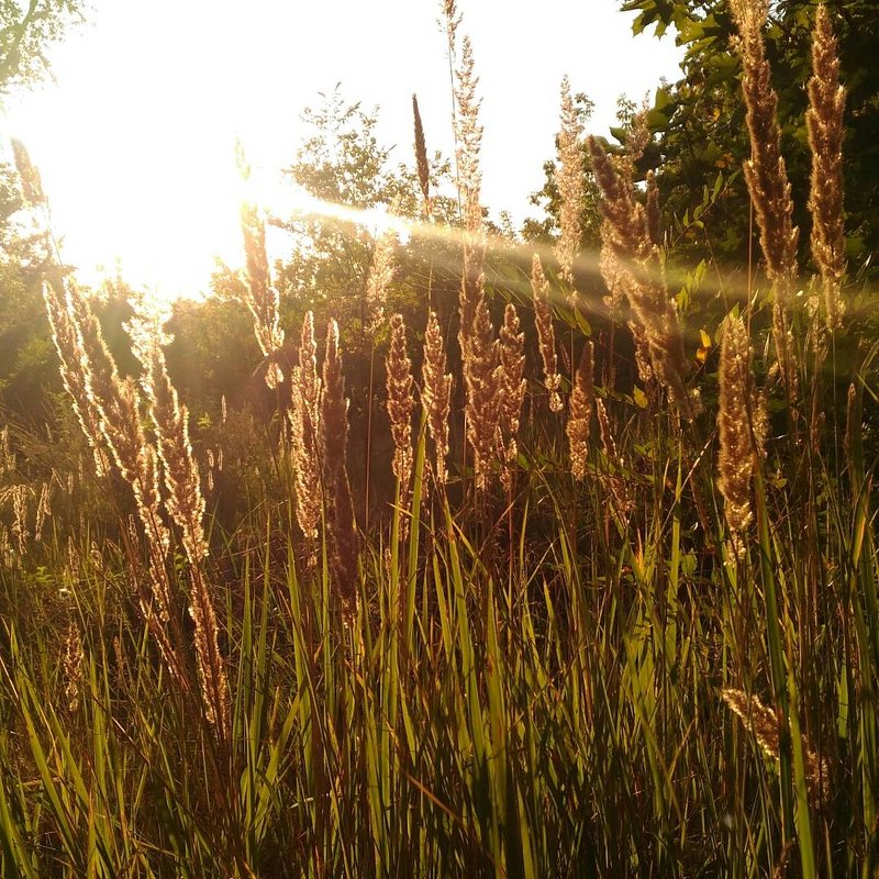 Закат - Оксана Романова