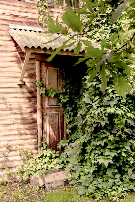старая дверь старого дома - Евгений Вяткин