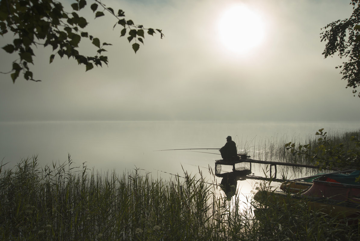 Рыбалка туманным утром :: Михаил Онипенко – Социальная сеть ФотоКто
