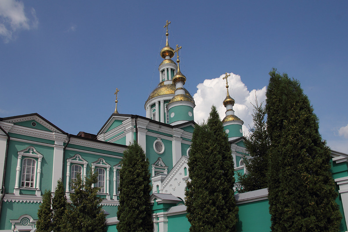 Купола Преображенского собора. Тамбов - MILAV V