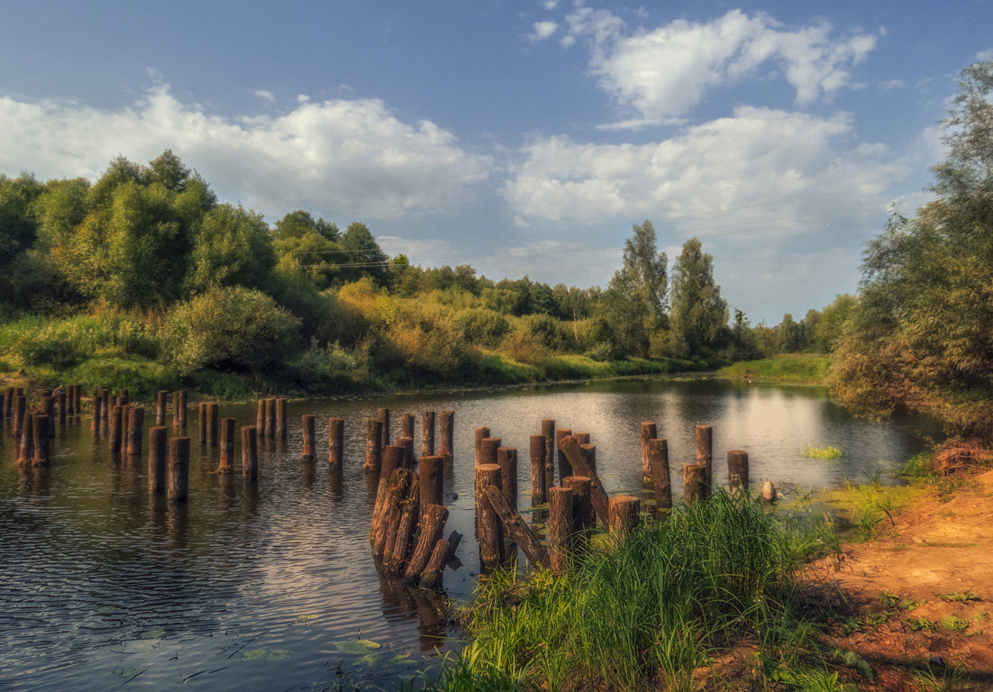 Река Войнинга,сваи старого моста - Сергей Цветков