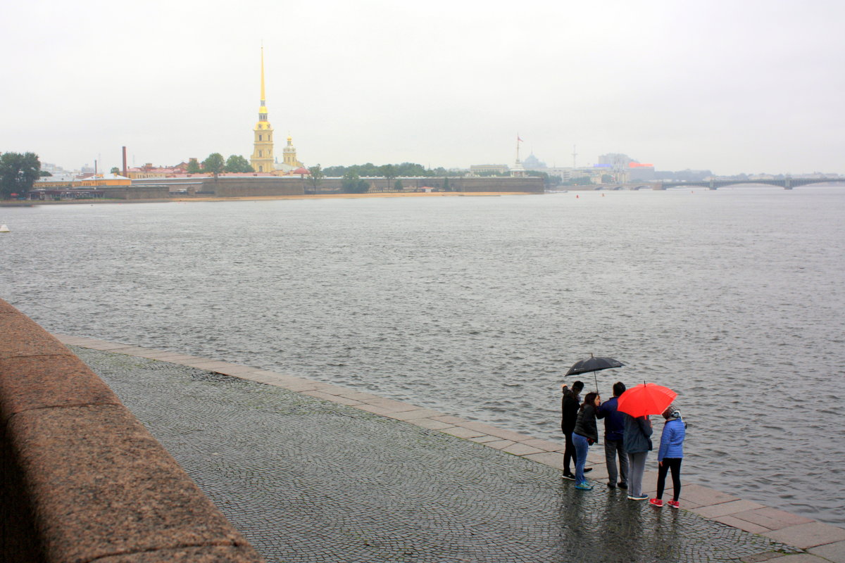 САНКТ-ПЕТЕРБУРГ - Николай Гренков